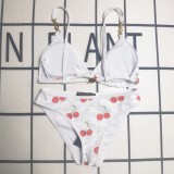 Y1R46E32 Popular Bikini swimsuit