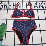 Y1R46VL6 Popular Bikini swimsuit
