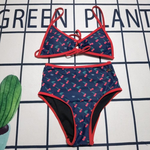 Y1R46VL6 Popular Bikini swimsuit