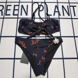 Y1R46F16 Popular Bikini swimsuit