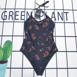 Y1R46F13 Popular Bikini swimsuit
