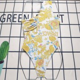 Y1R46V11 Popular Bikini swimsuit