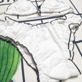Y1R46C1 Popular Bikini swimsuit
