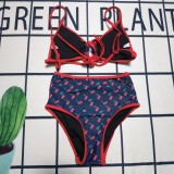 Y1R46VL6 Popular Bikini swimsuit
