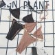 Y1R46B60 Popular Bikini swimsuit