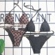 Y1R46CN52 Popular Bikini swimsuit