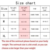 146RD81Y Popular Bikini swimsuit 