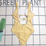 Y1R46C89 Popular Bikini swimsuit