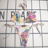 Y1R46E134 Popular Bikini swimsuit
