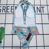 Y1R46V123 Popular Bikini swimsuit