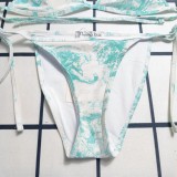 Y1R46D127 Popular Bikini swimsuit