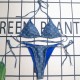 Y1R46E132 Popular Bikini swimsuit