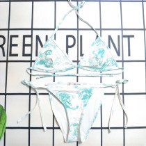 Y1R46D127 Popular Bikini swimsuit