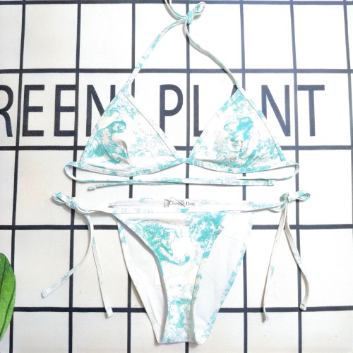 Y1R46D127 Popular Bikini swimsuit