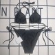 Y1R46A126 Popular Bikini swimsuit