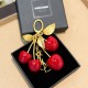 A1R46SL43 Popular bag 's charms accessories