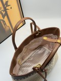 B1N46P11 Popular woven bag