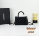 B1N55C25 Popular    Purse bags