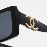 T1P56C47 Popular Sunglasses