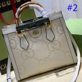 B1X93B117 Popular leather bag 