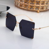 T1P56D59 Popular Sunglasses