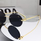 T1P56D69 Popular Sunglasses