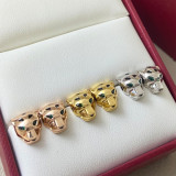 556NK26E Popular Earrings