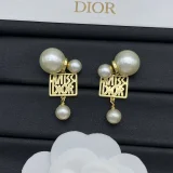 14D1068E Popular Earrings