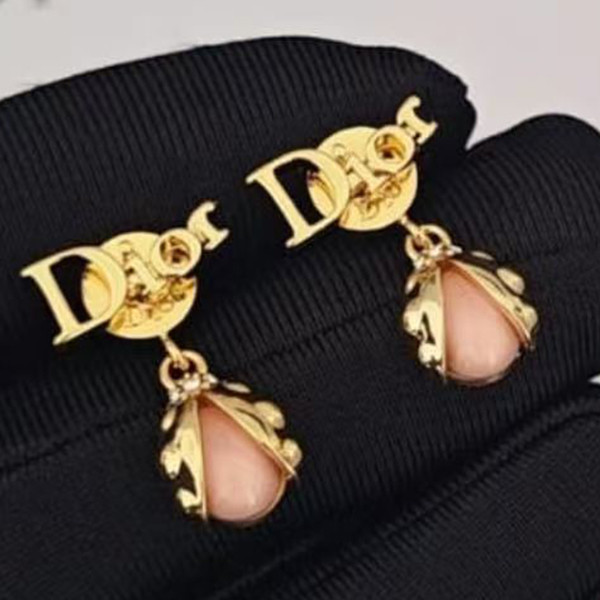 156XD6E Popular Earrings