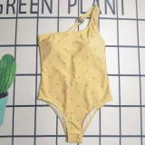 Y1R46C83 Popular Bikini swimsuit