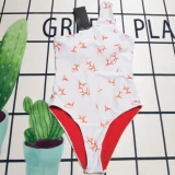 Y1R46F114 Popular Bikini swimsuit