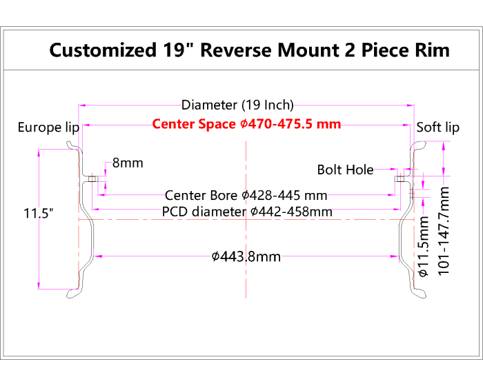 Customized 19x11.5J Reverse Mount 2 Piece Barrel