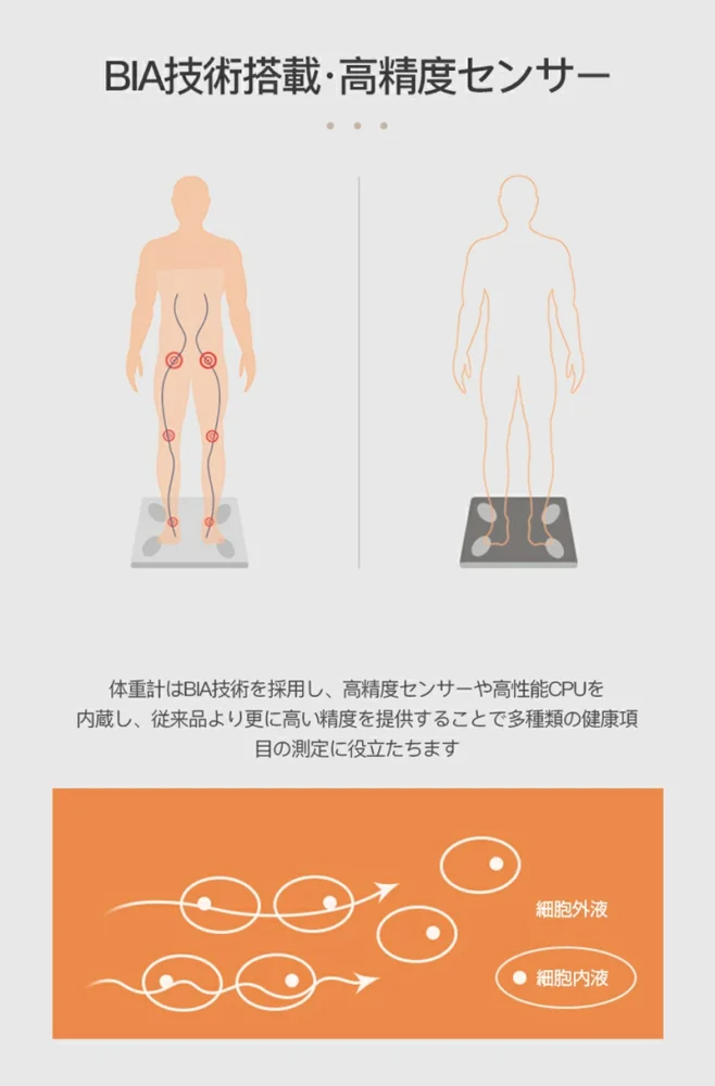 体重計 体組成計 260*260mm