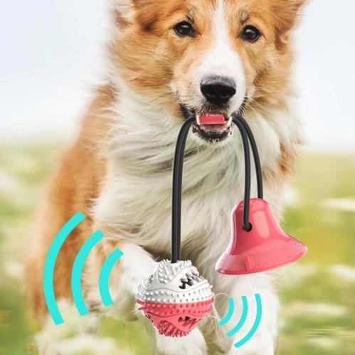 Upgrade Pet Molar Bite Toy with Suction Cup