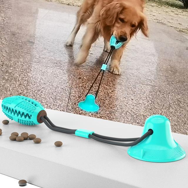 Upgrade Pet Molar Bite Toy with Suction Cup