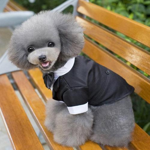 Puppy Clothing Gentleman Mounted Teddy Pet Clothes Small Dog Costume Vest For Pet T-shirts