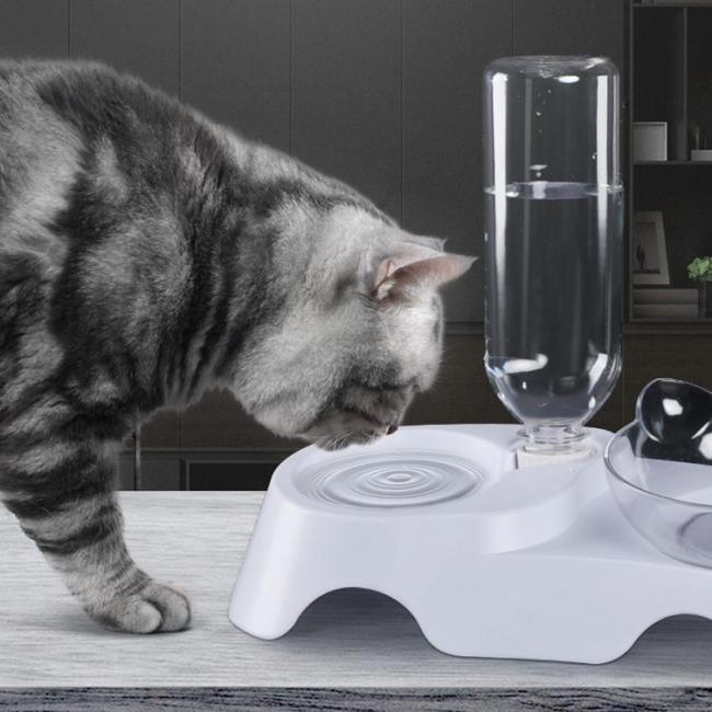 US$ 66.98 - Anti-Vomiting Orthopedic Cat Bowl - www.dunpie.com