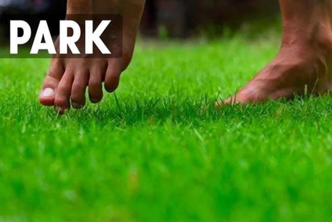Invisible anti-skid insole-Buy 1 Get 1 Free