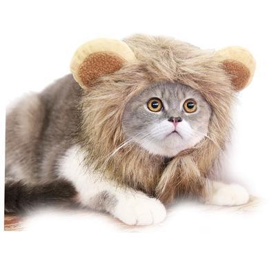 Pet hat - lion