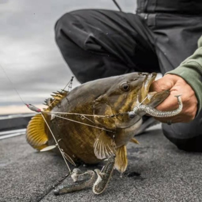 A better way to Fish!