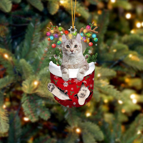 Cat American Curl In Snow Pocket Christmas Ornament