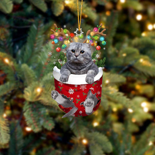 Scottish Fold Cat In Snow Pocket Christmas Ornament