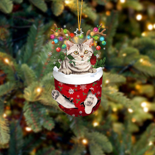 American Shorthair Cat In Snow Pocket Christmas Ornament