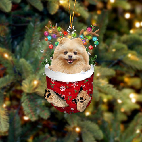 CREAM Pomeranian In Snow Pocket Christmas Ornament