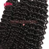 Ali Queen Hair Kinky Curly Brazilian Virgin Hair Weft Deal Natural Color 10 -28 inches In Stock 100% Human Hair Weaves Bundles