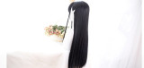 Dalao Home~Moss Long Straight Antique Hanfu Lolita Wig