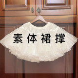 Petticoat Only(no flowers)