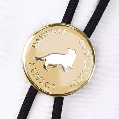 Kyouko & Harry Potter Co-signed College Style Skirt, Blouse and Vest Harry Potter Clothes