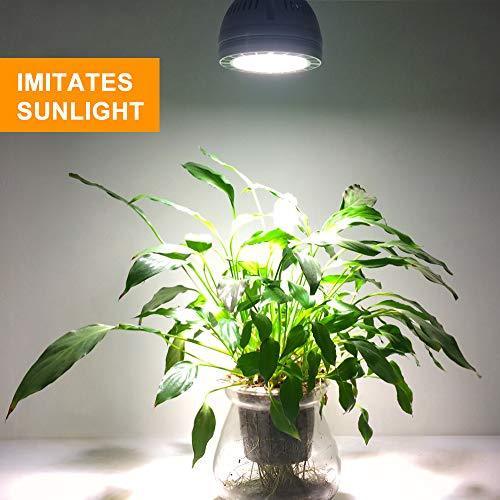 Us 29 58 35w Daylight Led Grow Light Bulb M Ulricado Com