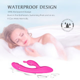 AOA TOYS Dildos